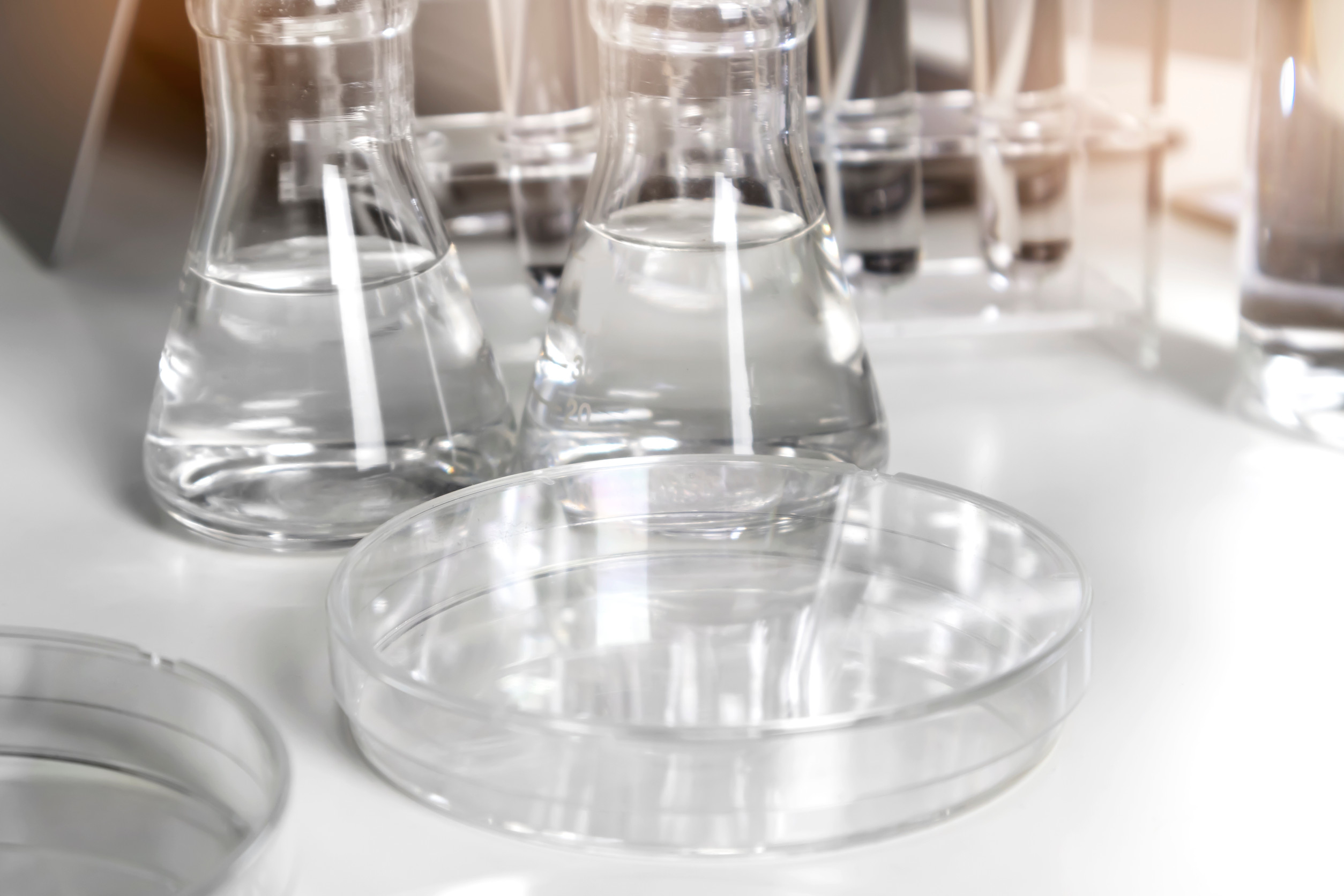 acetyl l carnitine with or without food L-Carnitine Liquid
